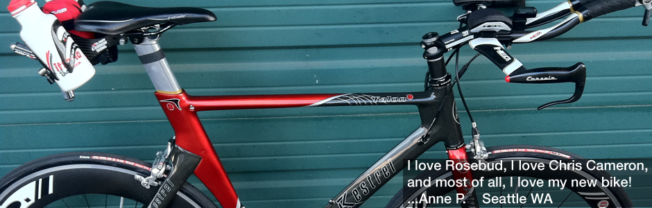 Rosebud Bicycle Builds Image