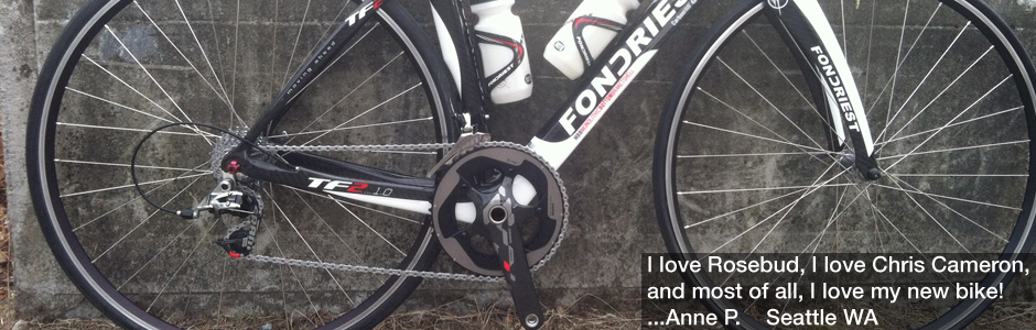 Rosebud Bicycle Builds Image